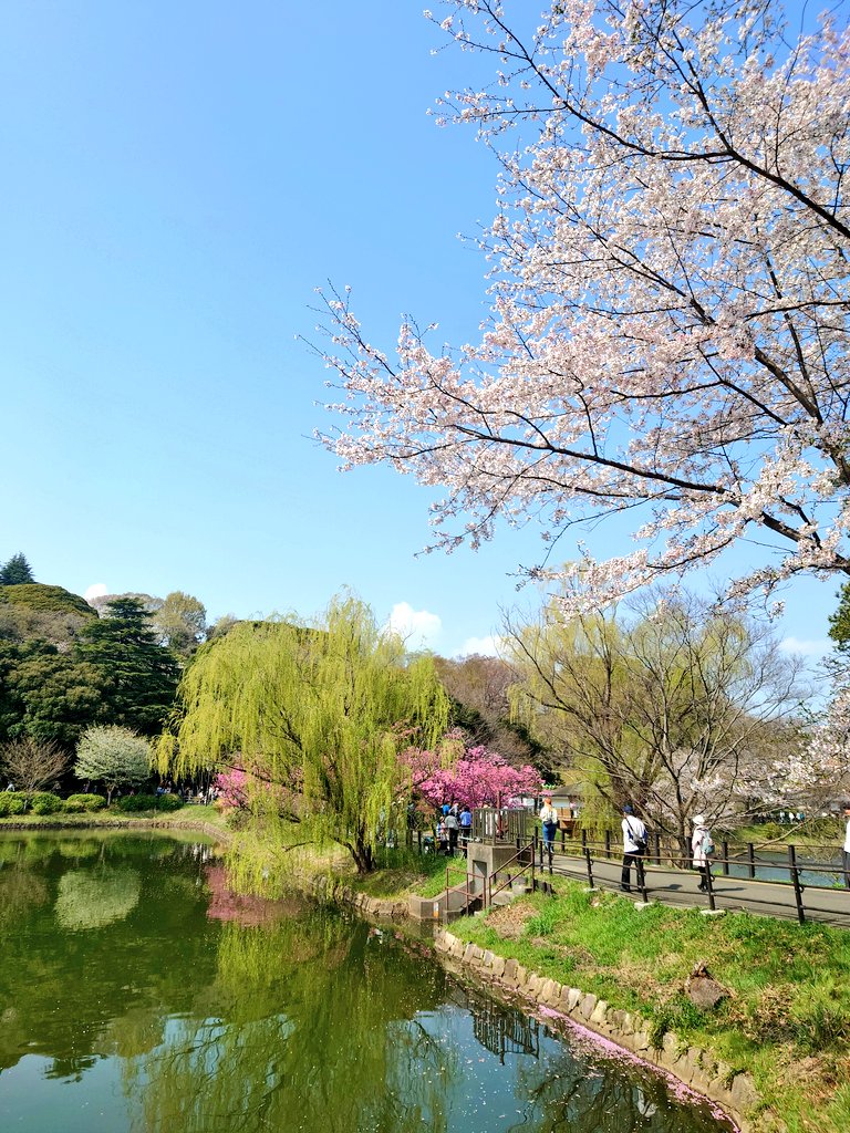 いっしー［ISSHI◢◤◢◤◢◤］ tweet media