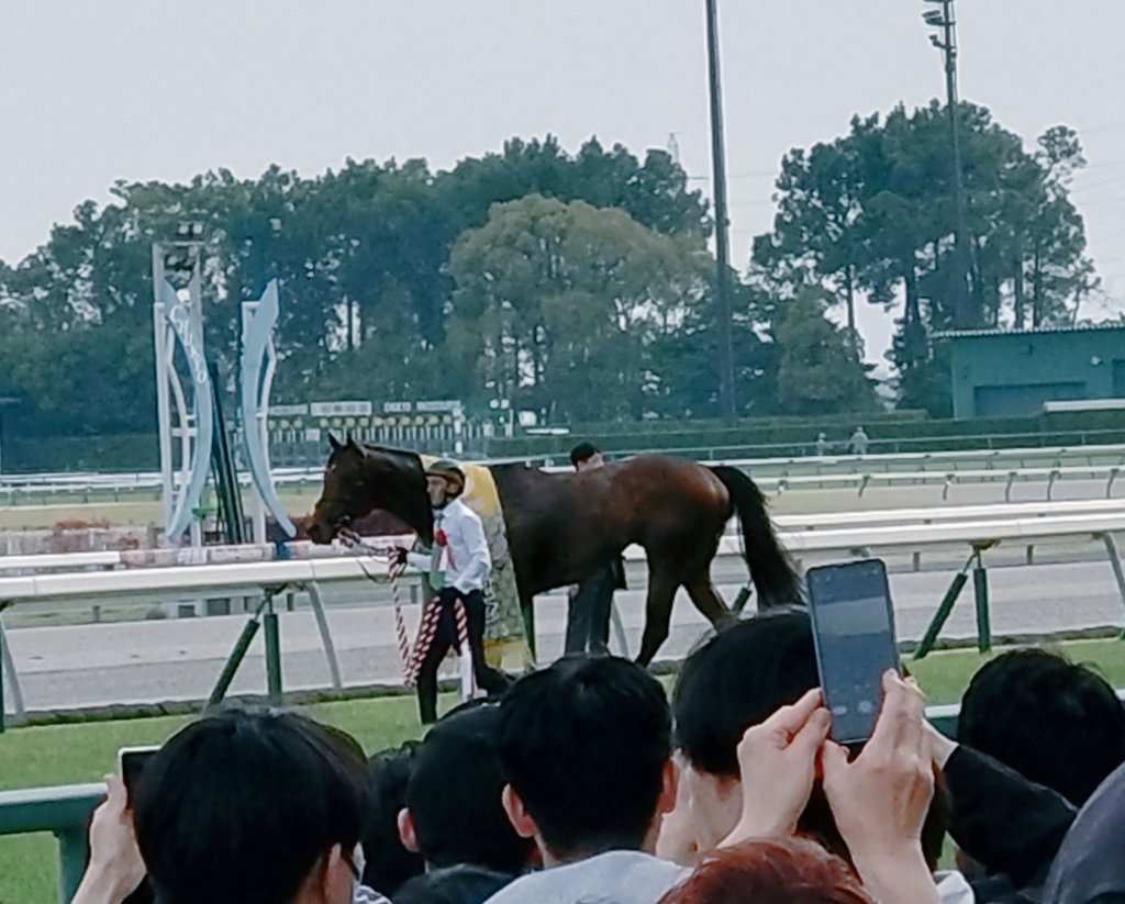 おめでとう、ずっと大好きだよ