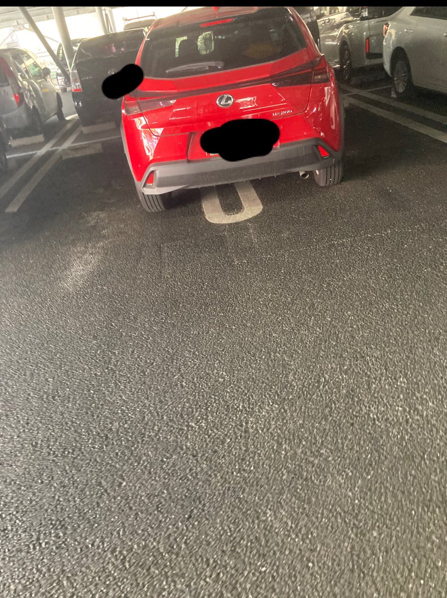 🦐海老キラー🦐 tweet media