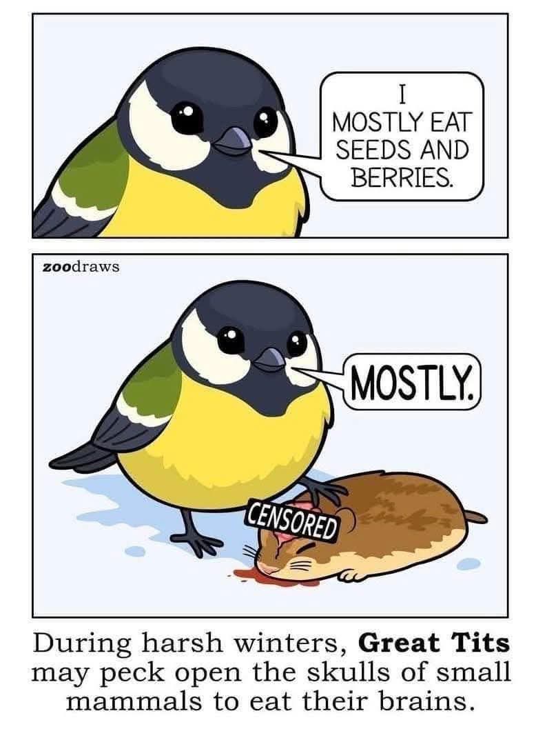 Benjamin Bavea tweet media