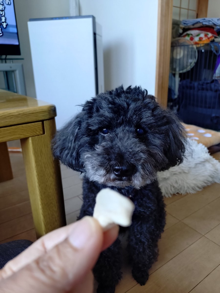 nero_1011 tweet media