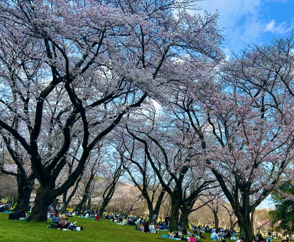 リスペコ tweet media