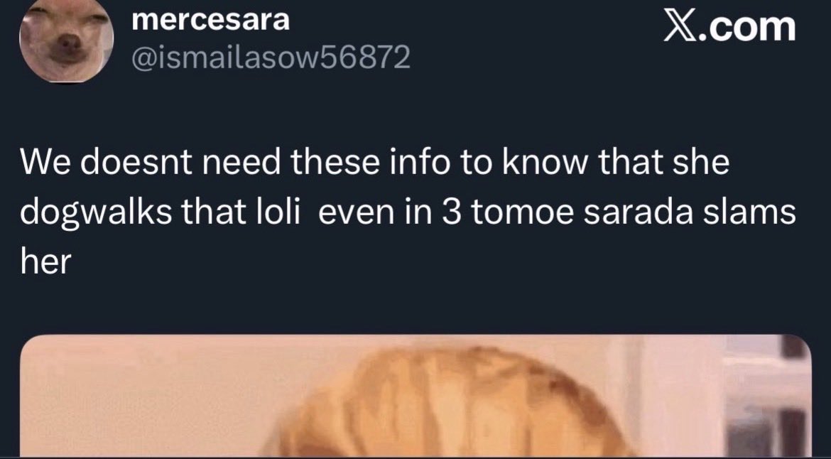 HimaKura 🦊 tweet media