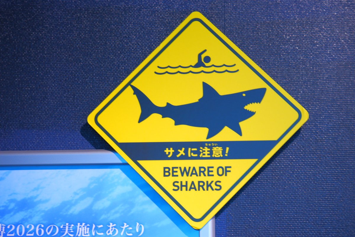 のの🦈 tweet media