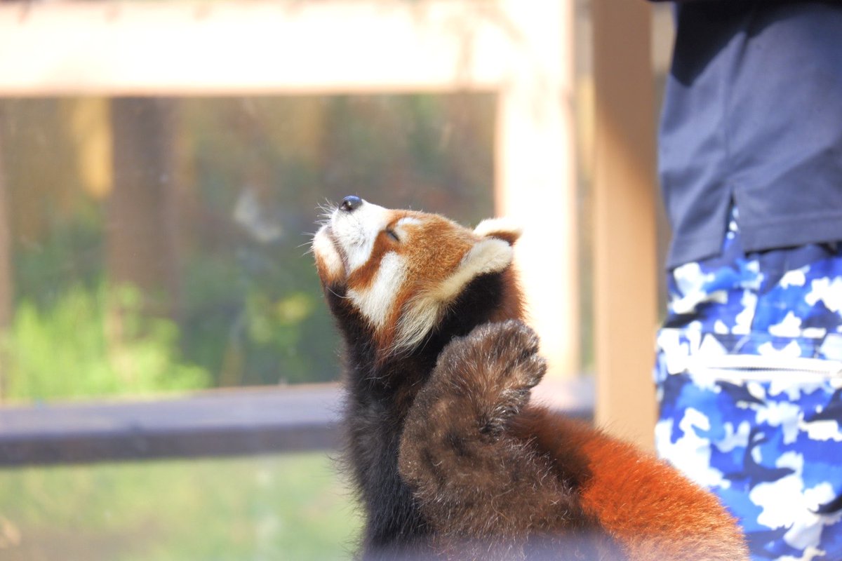 のの🦈 tweet media