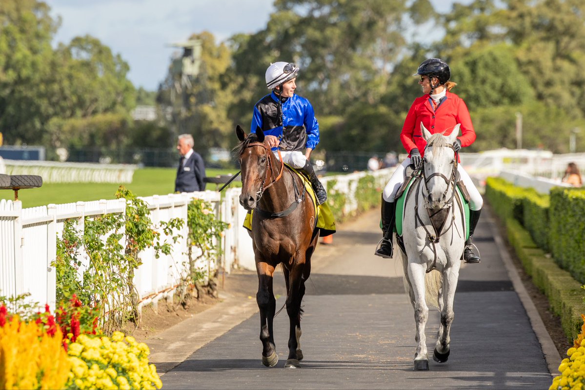 Matthew C. Smith Racing tweet media