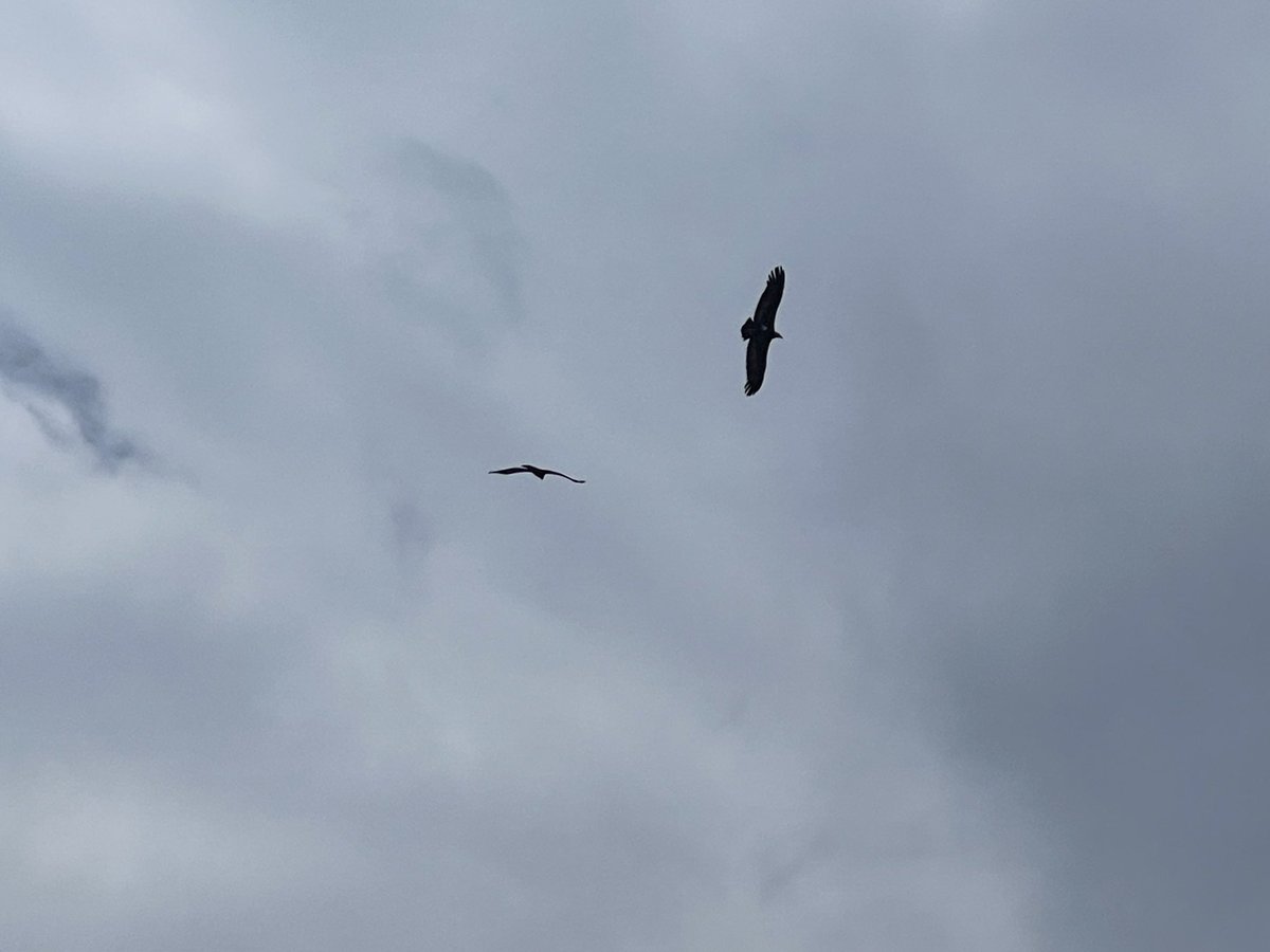 Alka Joshi Kaushik tweet media