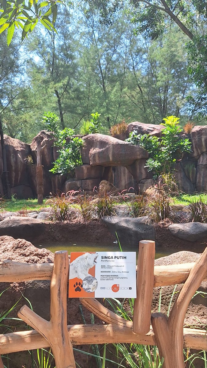 satyaxbt tweet media