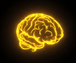 Pintoshi tweet media