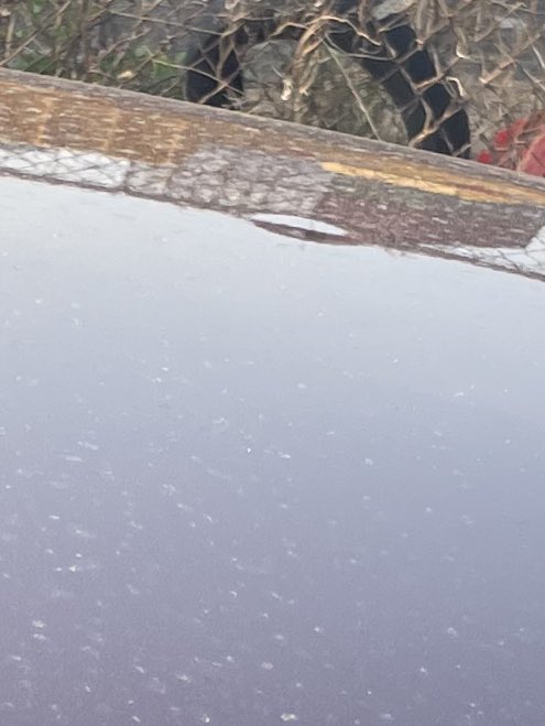 あーる tweet media