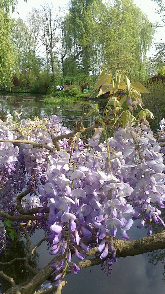 MyBus フランス【公式】 tweet media