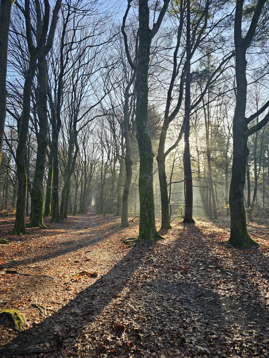 Geurt van Roekel tweet media