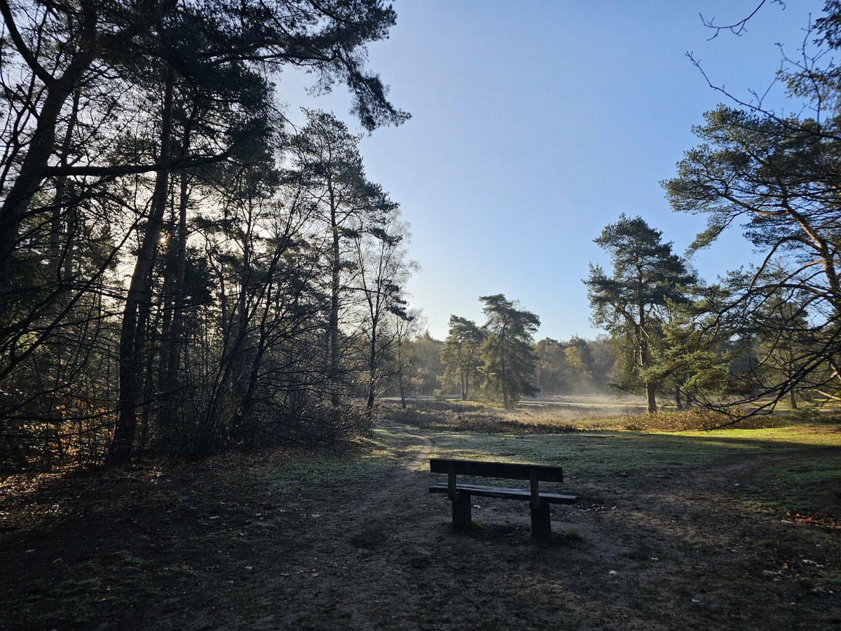 Geurt van Roekel tweet media