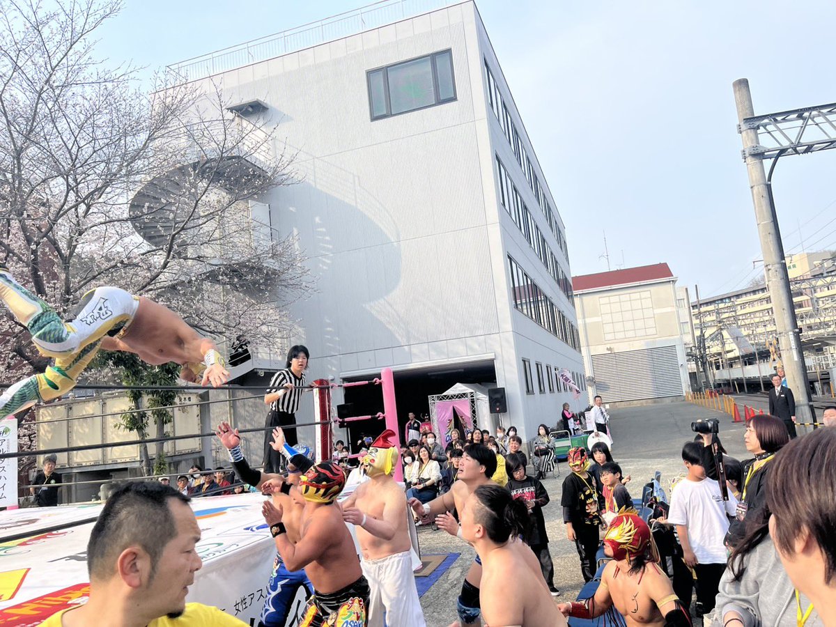 大阪プロレス公式 tweet media