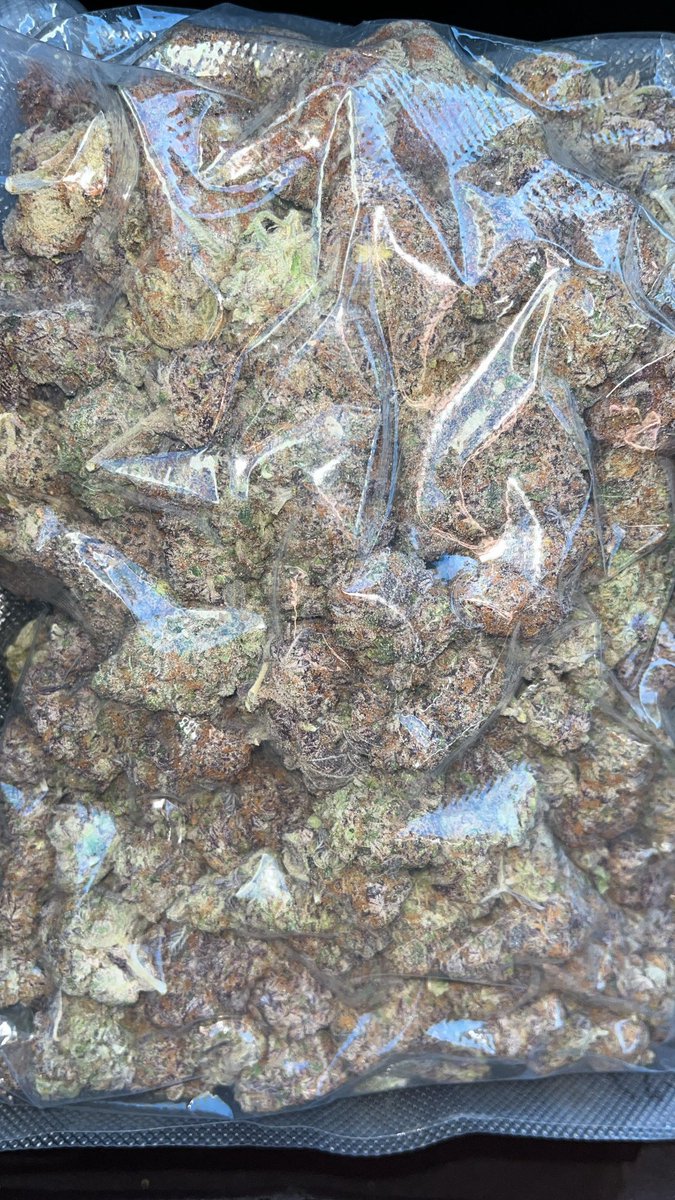 コナン2世 tweet media