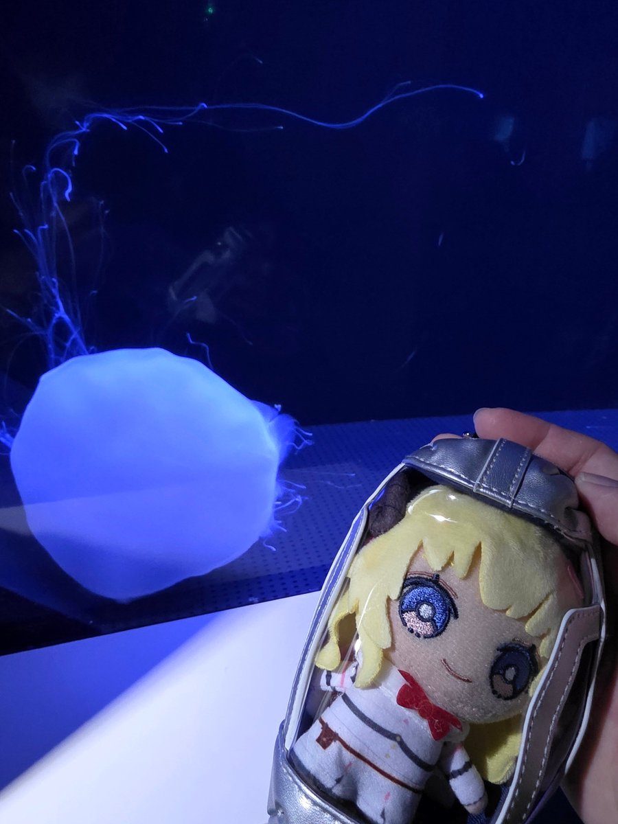 まんじゅう🐏WD,TW🐏 tweet media