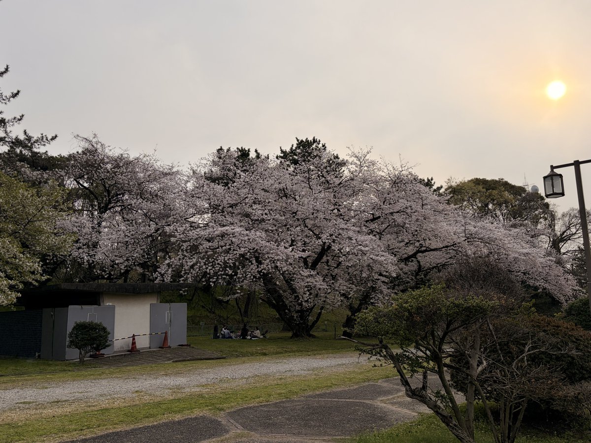 るーと tweet media