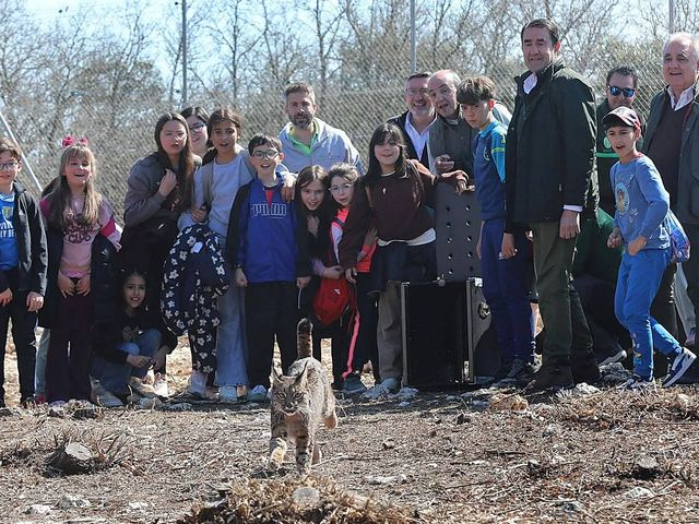 Julia en la Onda tweet media