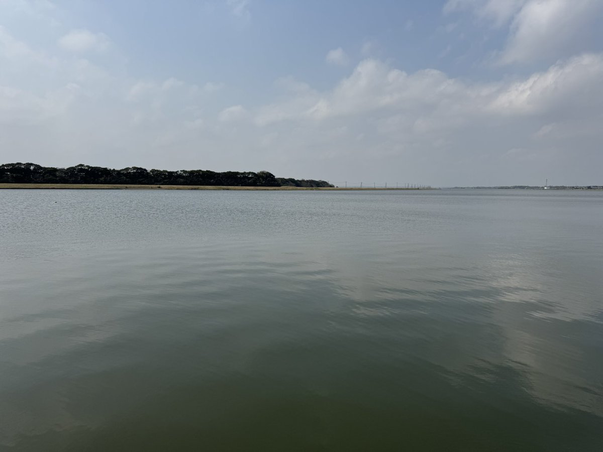 ゴンゾ🦅 tweet media