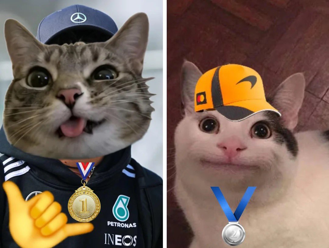 F1 TROLL tweet media