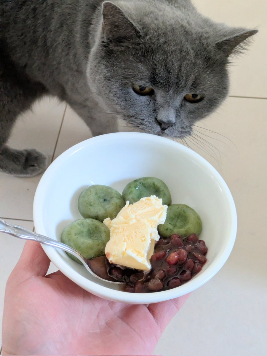 PRO_Fit/高畑 tweet media