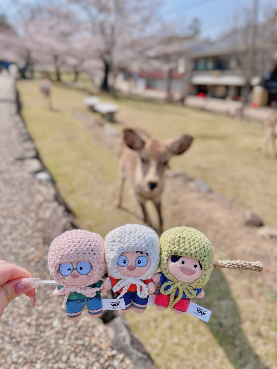 てまきずし tweet media