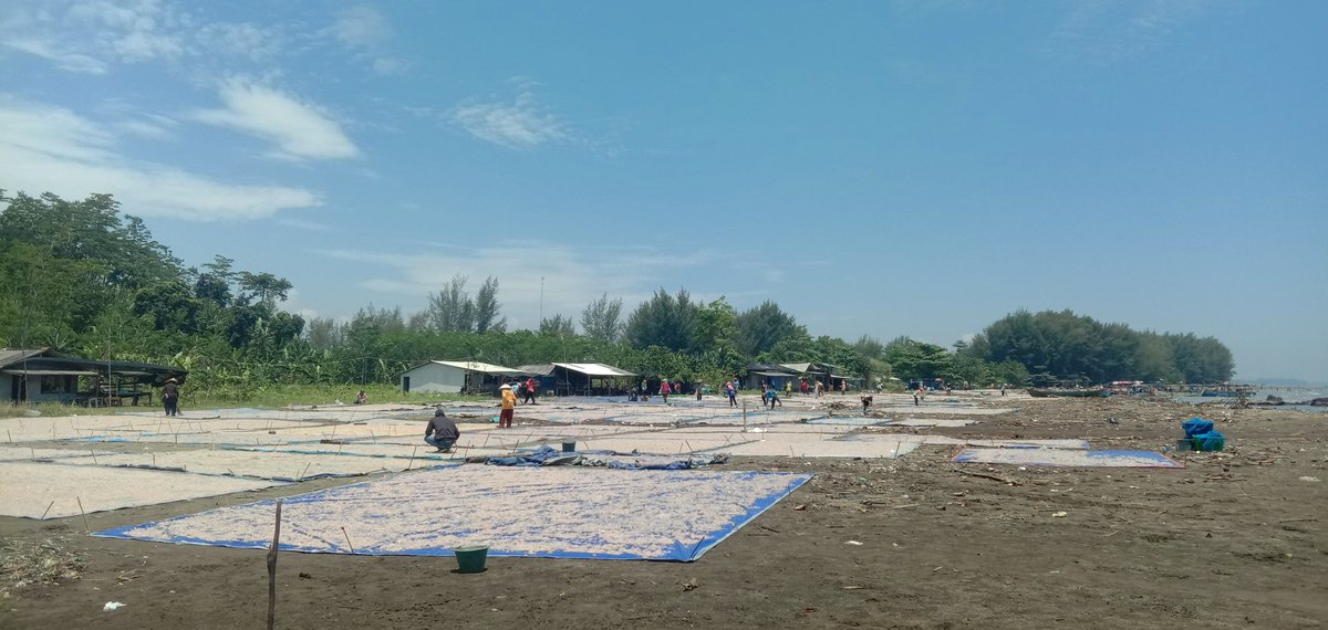 Kang Dien Wae tweet media