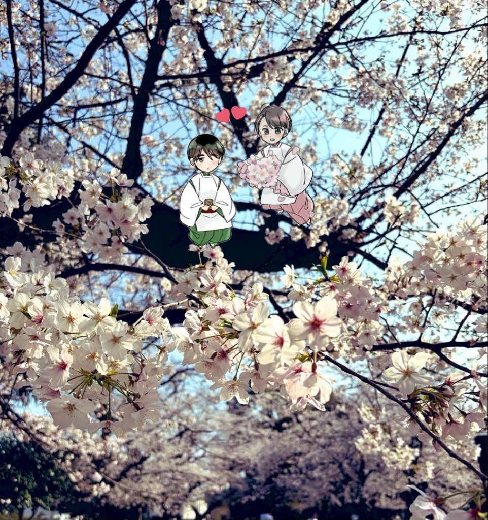 豊田悠🍒 tweet media