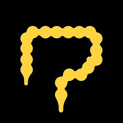 Pintoshi tweet media