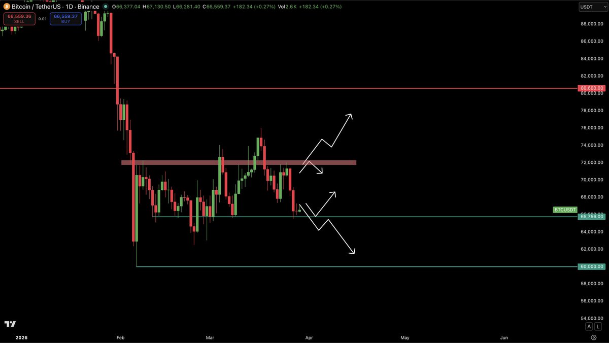 CryptoGoos tweet media