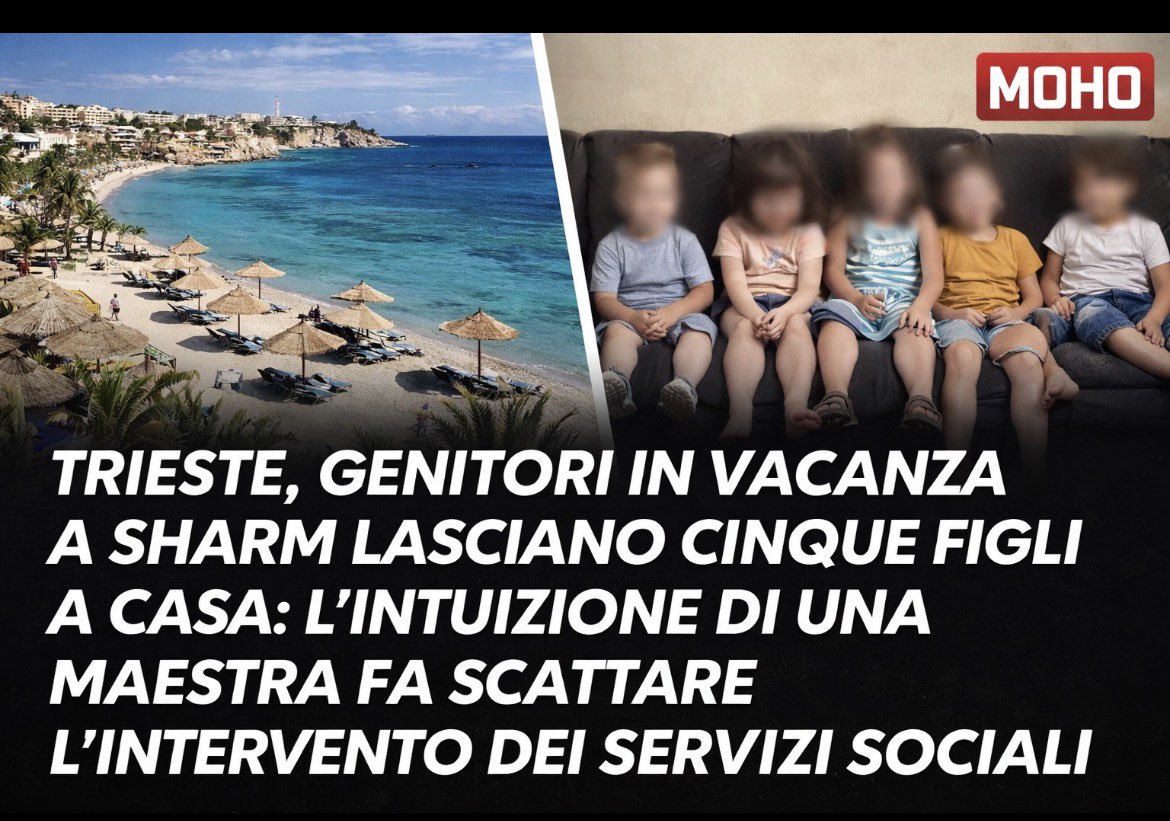 Frenkie_Woody tweet media