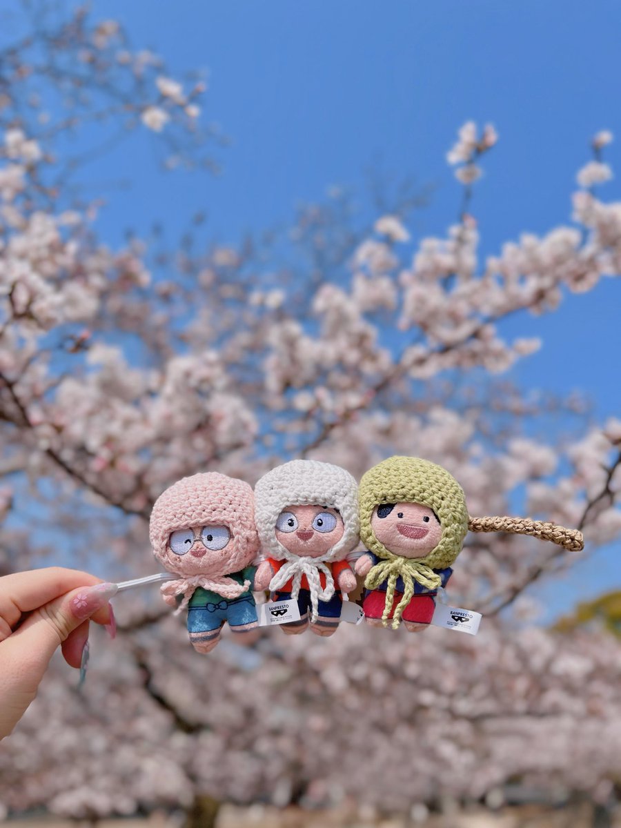 てまきずし tweet media