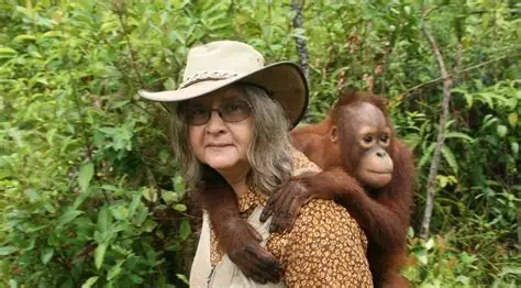 Resist.es - Repensar el sistema tweet media