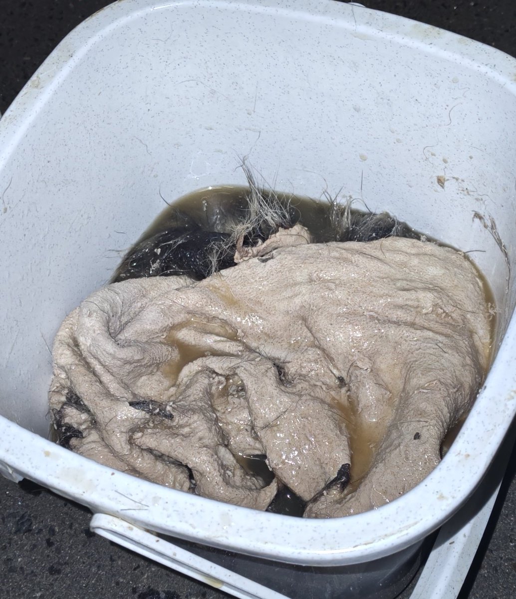 空飛ぶミニットマン tweet media