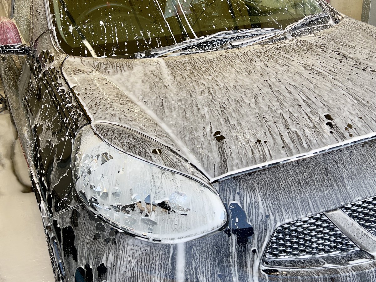 ラッコ。@洗車難民 tweet media