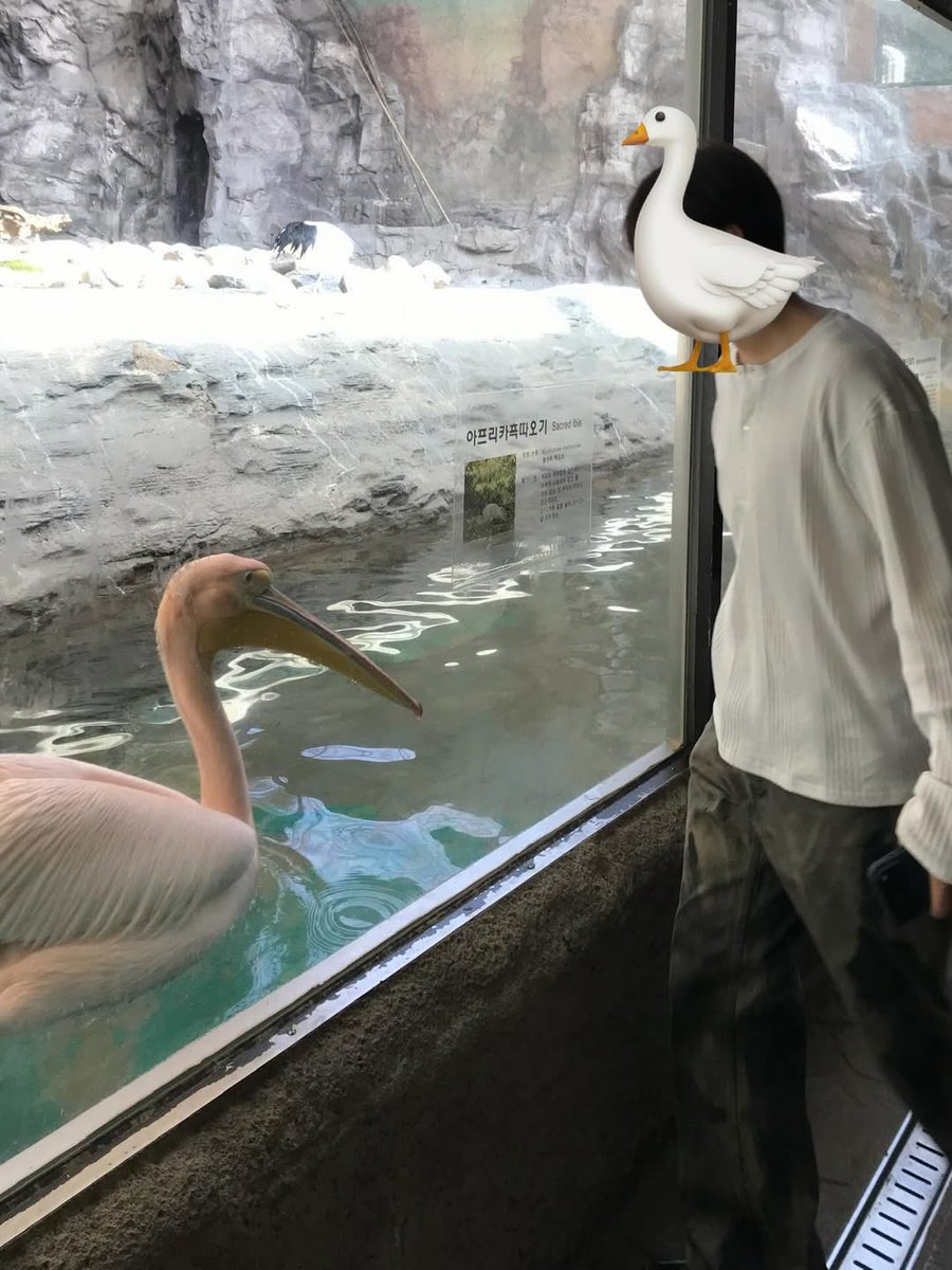 BAEupdates_1119's tweet image. [📷] 260329 - #HANGYUL instagram update

#BAE173 #비에이이173 #POLARIX #한결