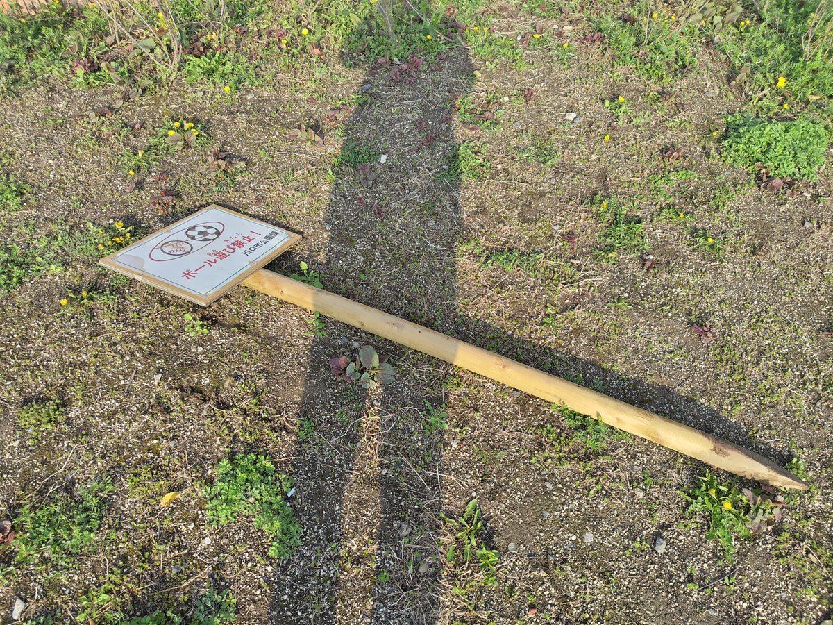 松浦洋之 川口市議会議員 自民党 tweet media