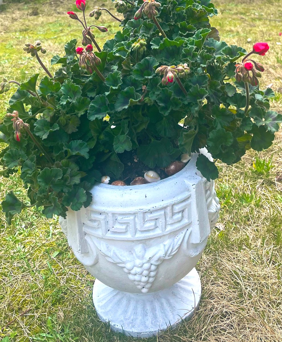 絵夢𓂃܀ꕤ୭* tweet media