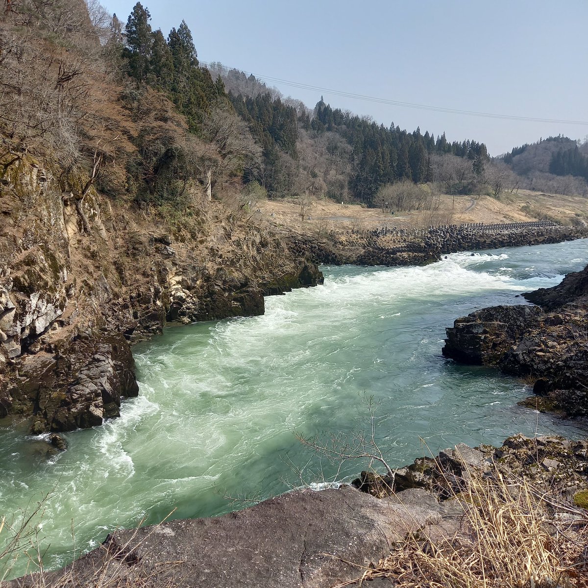 yuji_0820 tweet media