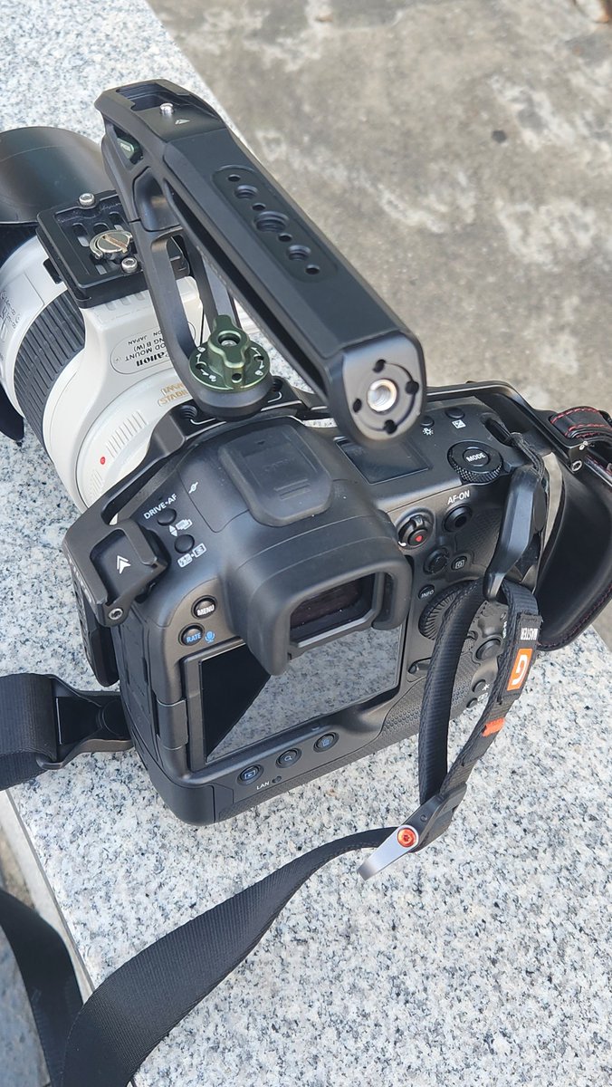 동챵 (태사남) tweet media