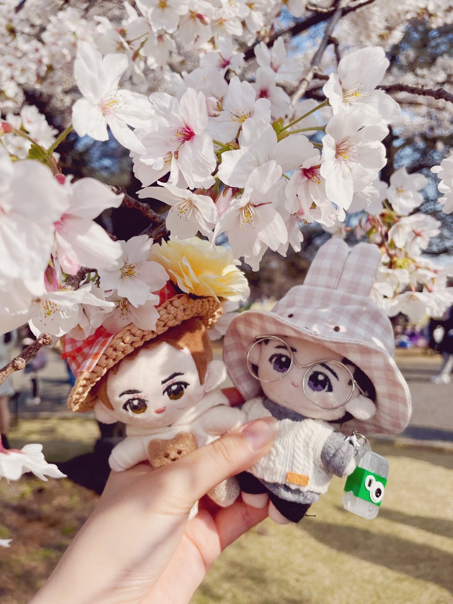 コンスイ tweet media