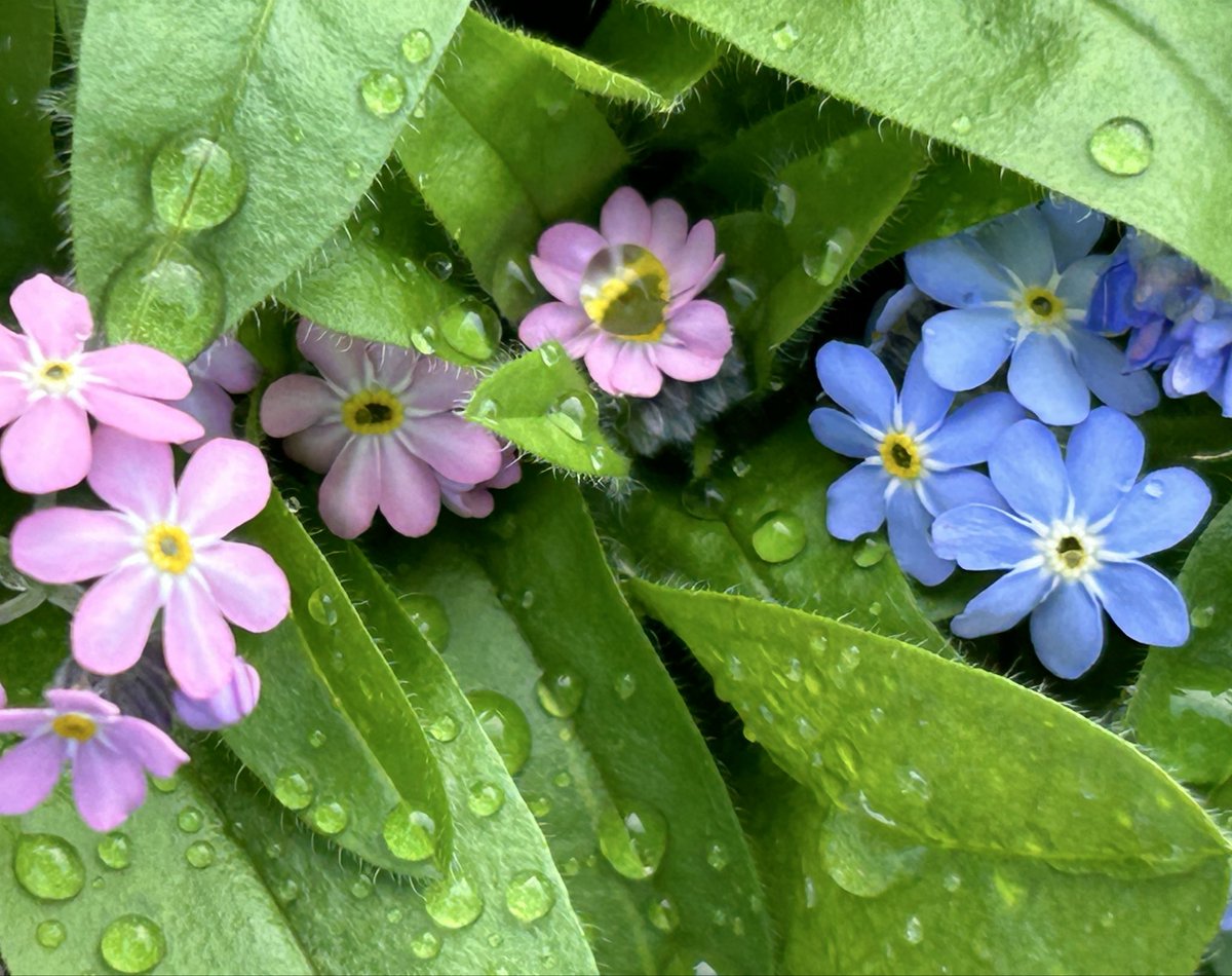 Svetlana tweet media