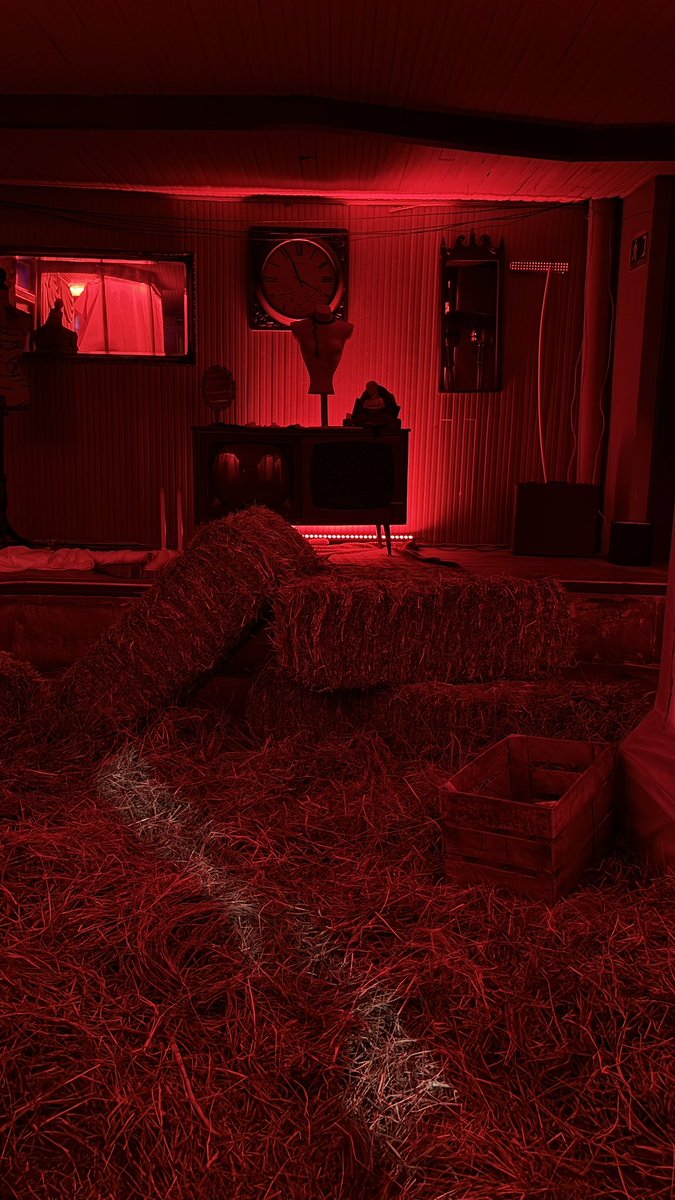 gabey🦕 tweet media