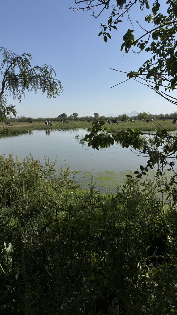 gabey🦕 tweet media