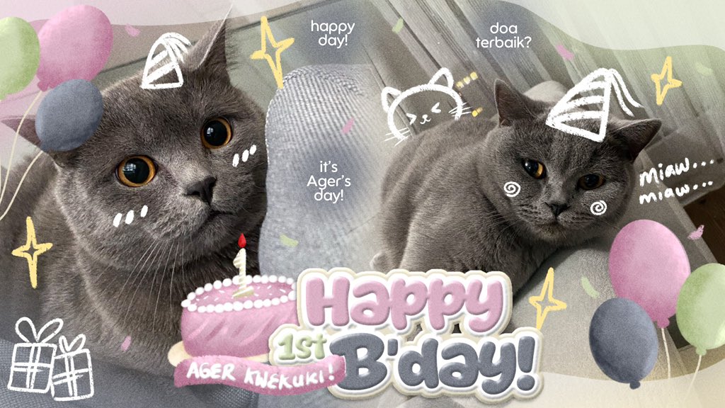 ‧˚꒰🦭꒱ CiLALA tweet media