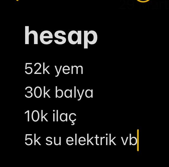 mi mi rippo🇧🇦 tweet media