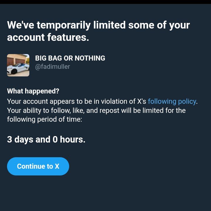 BIG BAG OR NOTHING tweet media