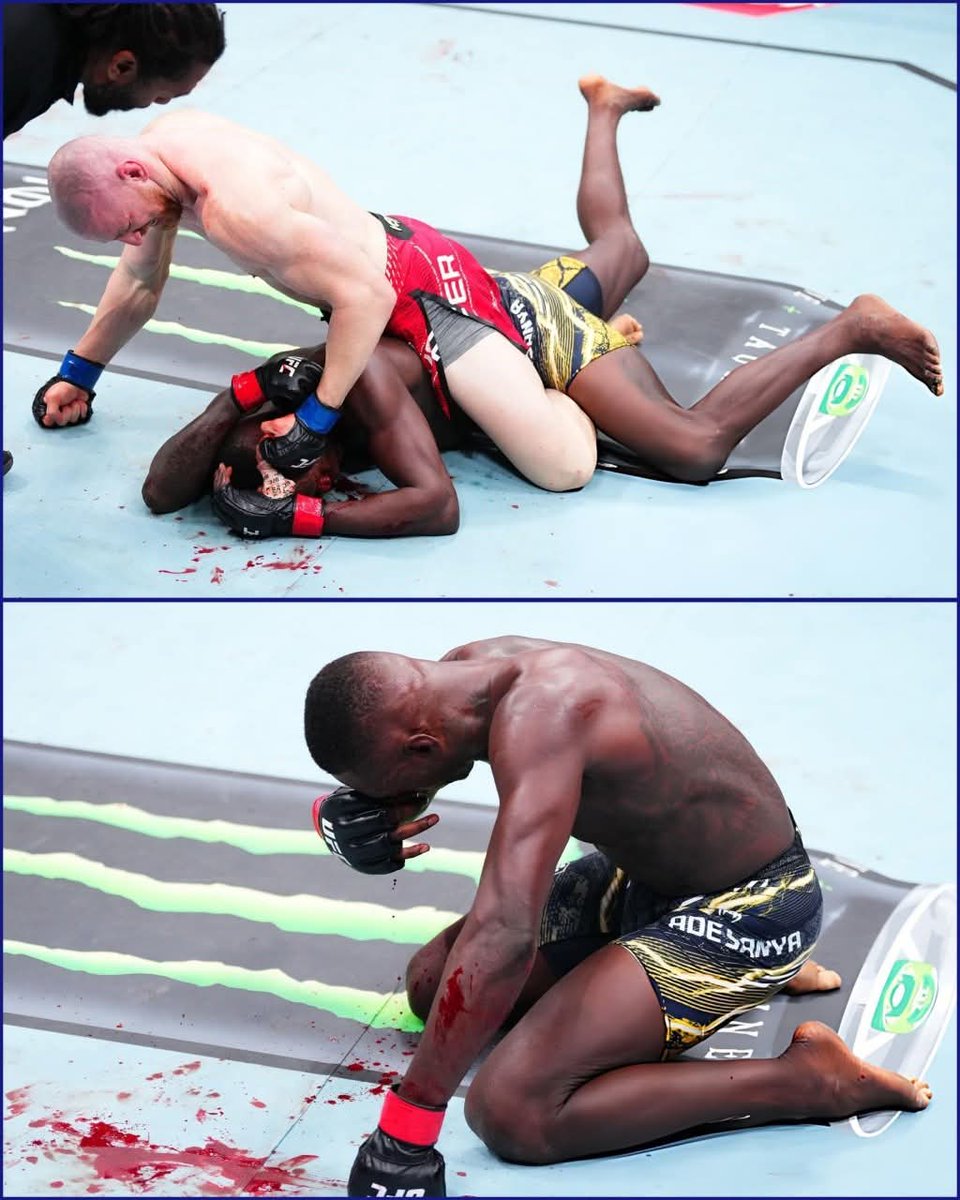 TOLOLOGY tweet media