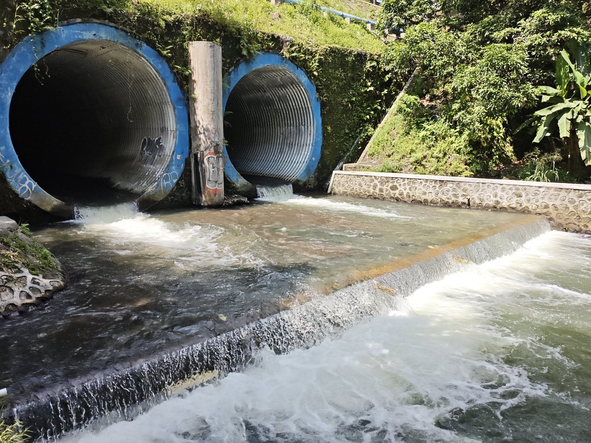 man_youngOnly tweet media