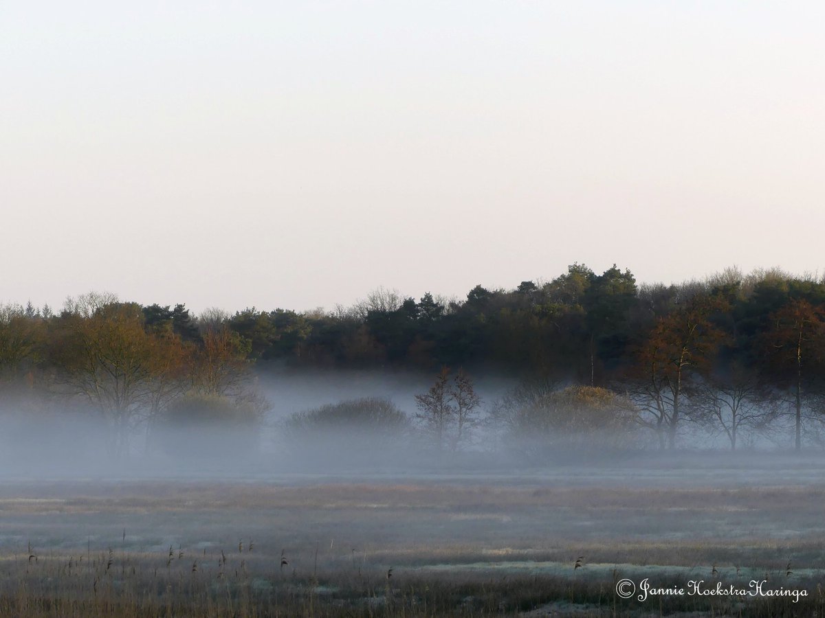 Jannie Hoekstra-Haringa tweet media